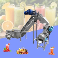 Extractor de Jugo Comercial por Presión en Frío para Uvas, Frutas y Verduras, Máquina Espiral para Hacer Jugo de Zanahoria