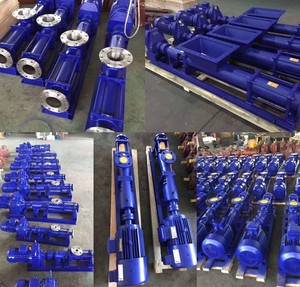 Bomba de Doble Tornillo DONGJIANG para Perforación de Campos Petroleros, 2 Años de Garantía, Venta al por Mayor, Bajo Nivel de Ruido, Reduce las Interferencias Operativas Durante el Uso - Product Image 6