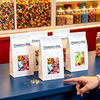 Sac en papier kraft pour aliments avec logo personnalisé, fenêtre ouvrable, pour biscuits, pop-corn, chocolat, bonbons, pain, emballage vertical avec lien en métal incurvé