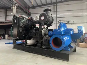 Diesel Engine Horizontal Centrifugal Pump With High Flow Rate Double Suction Pump For Agricultural Irrigation