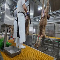 Machine à fendre les carcasses de moutons en acier, ligne de production d'abattage de chèvres pour abattoir, ligne de production d'abattage de moutons et de chèvres