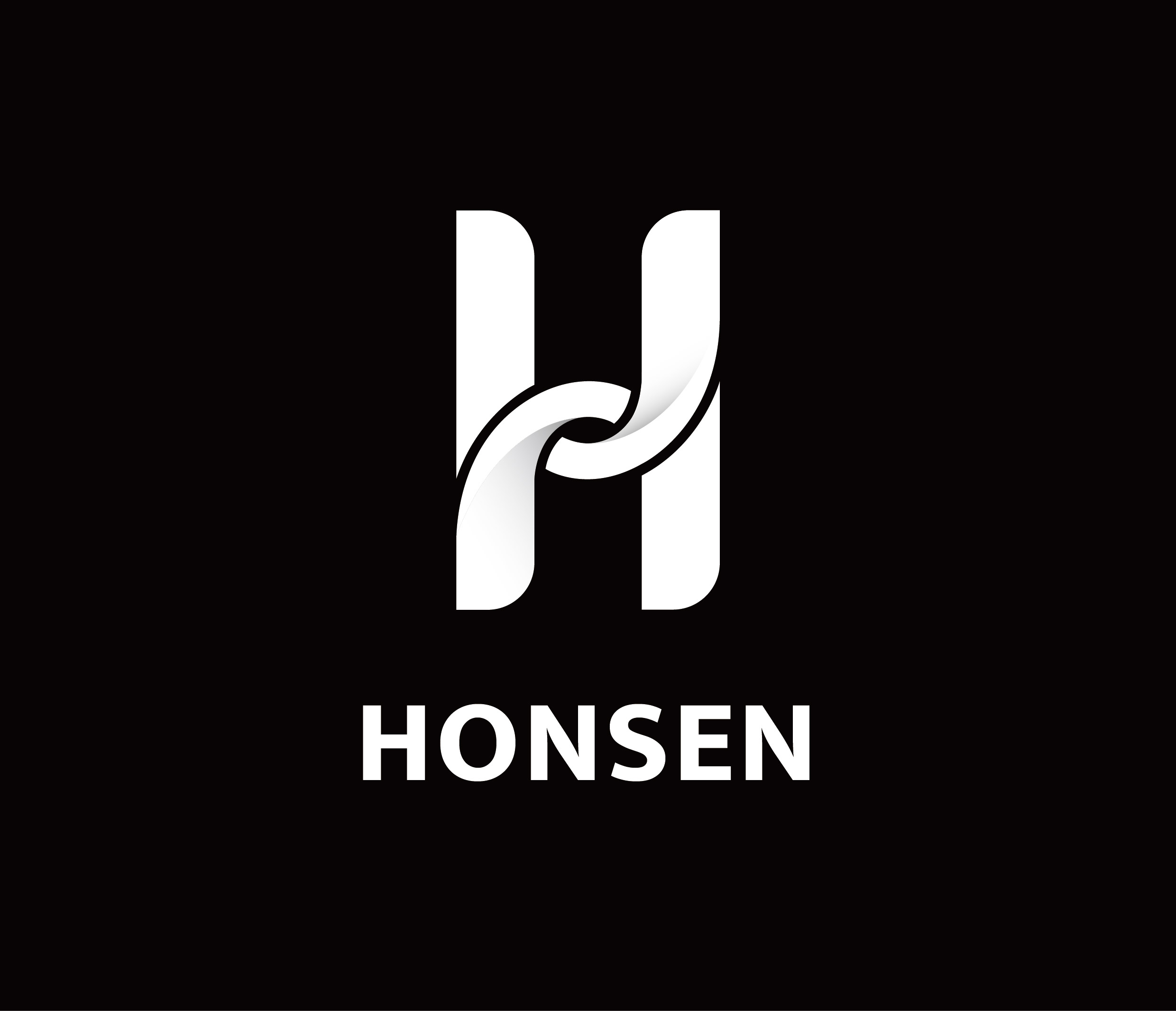 Shenzhen Hongsheng Intelligent Technology Co., Ltd. logo