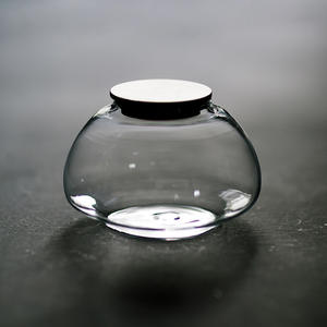 جرة صغيرة من الزجاج الطبيعي للمنزل والحديقة أصيص زهور من rarium لإيكولوجيا الطحلب وأواني المناظر الطبيعية والمزارع - Product Image 1