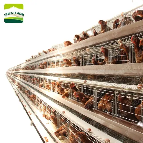 鶏の農家の設計10,000羽の産卵鶏層のための完全な機器鶏ケージ産卵鶏バッテリーケージシステム
