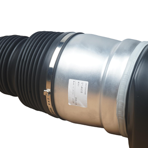 Amortiguadores de suspensión neumática delanteros izquierdos 2923202500 compatibles con Benz W292/C292*4WD 1663206766 - Product Image 6