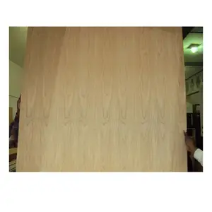 Harga Murah pabrik 2mm 6mm 9mm 12mm 15mm 18mm oak merah tavalm ceri avenge Parota lapisan kayu alami kayu lapis mewah dari Linyi