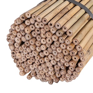 Postes de Bambú para Agricultura/Estacas de Bambú Diám. 16-18 mm X 150 cm - Product Image 2