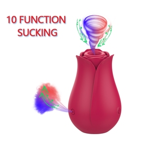 Mainan Seks Usb Dapat Diisi Ulang 10 Frekuensi Silikon Klitoris Mawar Klitoris Klitoris Vibrator Mengisap untuk Wanita - Product Image 1