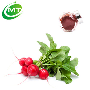 MT Health 100% Pure <span class=keywords><strong>Raphanus</strong></span> Sativus polvo de extracto de rábano Rojo Negro - Product Image 1