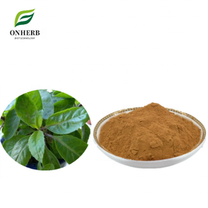 Extrait naturel de Gynura Divaricata 99% en poudre, provenant directement de l'usine, extrait de Gynura <span class=keywords><strong>Ovalis</strong></span> - Product Image 1
