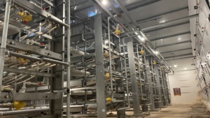 Poulailler multi-niveaux en acier galvanisé de type H durable, <span class=keywords><strong>cage</strong></span> d'élevage pour poussins et jeunes volailles, pour l'élevage de poulets et de poulettes, pour jeunes oiseaux - Product Image 6