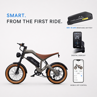 Vélo Électrique Tout-Terrain B2B à Pneus Larges 1500W 48V 20x4.0 avec Pneus Chaoyang, Contrôle par Application, OEM ODM, Fournisseur Vérifié depuis 6 Ans