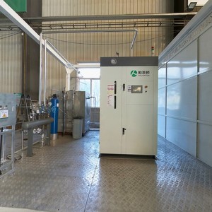 Паровой котел Palerton 10 тонн, вертикальный, с водотрубной системой, высокого давления, для горячего водоснабжения, газовый, из нержавеющей стали, энергосберегающий, с ПЛК-управлением - Product Image 1