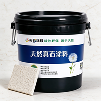 Peinture liquide imperméable à texture pierre naturelle pour la décoration des murs extérieurs, application au pinceau