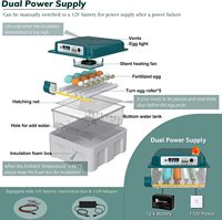 Incubateur automatique d'œufs de 16 capacités avec rotation et humidification pour œufs de poule et de caille en plastique 220V