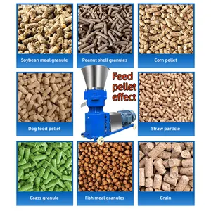 Ringdobbelsteen Voor Het Voederen Van Voedselmaker Pellets Molen Persmachines Mini Fish Pelletizer Voeder Hout Pellet Machine Voor Diervoeders