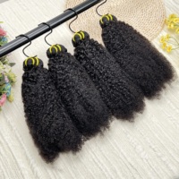 Lot de Cheveux Humains Naturels Vietnamiens de Grade 12A, Alignés dans le Sens de la Cuticule, Afro Kinky 4C