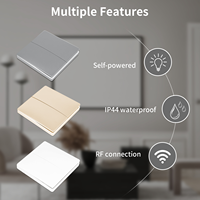 Interrupteur à bouton-poussoir sans fil auto-alimenté, télécommande sans batterie pour système d'éclairage intelligent