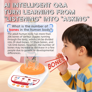 Base para el Modelo Humano de Exhibición que Explica <span class=keywords><strong>los</strong></span> Principios de la Educación Científica del Sonido con Pantalla Giratoria - Product Image 6