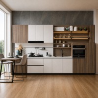 Lemari Dapur Modern dari Baja Anti Karat, Rak Penyimpanan Modular, Meja Marmer, Wastafel, Keran, Peralatan Terpasang, Lampu LED