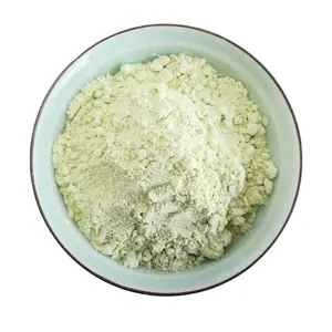 Fresh Wasabi Powder Seasoning Condiment Powder