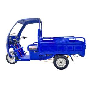 Triciclo de Carga, Triciclo Eléctrico de Alta Eficiencia, Nuevo Triciclo Eléctrico al por Mayor, Motocicleta Triciclo Eléctrica de 850W-1000w, Triciclo de 3 Ruedas - Product Image 3