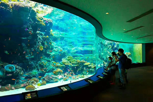 <span class=keywords><strong>Aquarium</strong></span> naturel en fibre de verre, grand réservoir de poissons, récif corallien, avec fenêtres, fournitures murales - Product Image 2