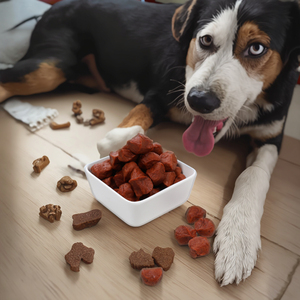 Pal's Delight fábrica de alimentos para mascotas al por mayor 100 g/bolsa de golosinas para perros de alta proteína sabor a carne de res suave y masticable salud digestiva para perros - Product Image 1