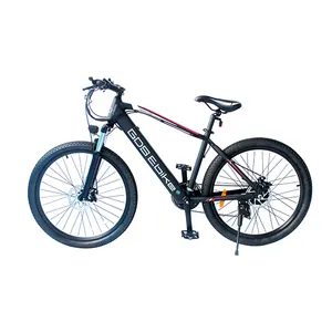 E Bicycle CE 48V 48 Volt 250W 350W 500W 24 24" 26 28 29" 29 Inch Amazon Aluminum Adult Pedelec Cheap Electric Mountain Bike