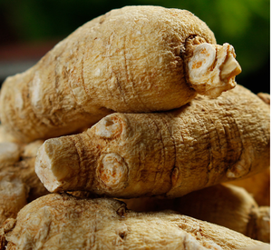 Toptan ucuz fiyat kurutulmuş amerikan ginseng orijinal amerikan ginseng ham kök satılık - Product Image 3