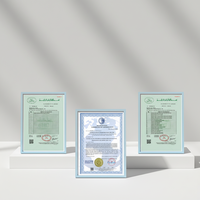 Poudre d'essence de poulet séché de qualité supérieure certifiée ISO9001/BRC/HACCP en gros, mélange d'arômes culinaires et d'épices pour assaisonnement