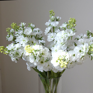 Fleurs artificielles en gros M-1066, Delphinium Ajacis violet de 52 cm, fleur à tige unique, fleur <span class=keywords><strong>violette</strong></span> pour <span class=keywords><strong>la</strong></span> décoration de table et de <span class=keywords><strong>la</strong></span> maison - Product Image 2