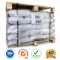 Grains abrasifs en carbure de silicium noir F54 F60 F80 SiC pour le débavurage de l'aluminium, le polissage du marbre, la finition et les médias de sablage