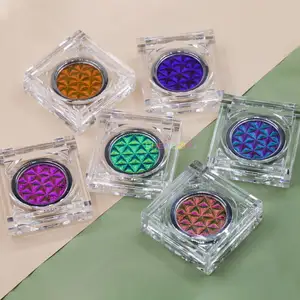 Số lượng lớn 12 màu sắc siêu nổi bật long lanh cho Eyeshadow lớp mỹ phẩm Tắc Kè Hoa Eyeshadow Palette