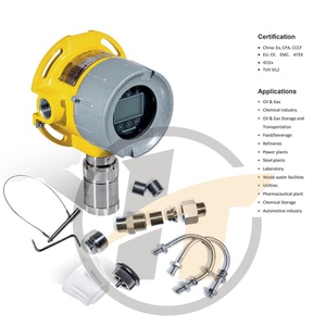 Détecteur de gaz fixe RAEGuard 3 FGM-6300 IP66 Certifié ATEX/IECEx/SIL2 Construction en aluminium Haute précision 24VDC - Product Image 1