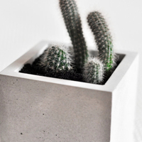 Pot de plantes intérieur et extérieur personnalisé en usine Pots de fleurs en ciment au design moderne minimaliste en béton à bon prix