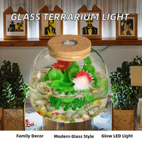 Terrariums en verre transparent avec lumière LED colorée, sans BPA, faits à la main, en verre borosilicate transparent de haute qualité avec couvercle en liège