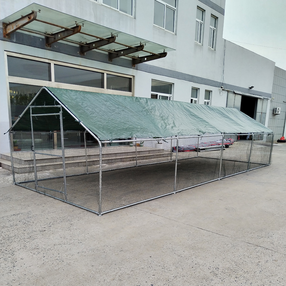 Walk In курятник, ручка для собаки, клетка для курятника, домашний вольер 8x3x2 м