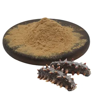 Factory Supply Hot Sale Dried Sea Cucumber Powder 10:1 Sea Cucumber Extract Powder