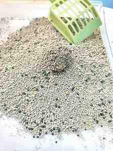 Arena para Gatos BENJIE Ecológica, de Bentonita, Aglomerante, de Larga Duración, Segura para Mascotas, con Carbón Activado, Baja en Polvo, Desechable por el Inodoro - Product Image 3