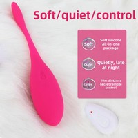 Ferngesteuerter Vibrator für App-Steuerung Kabelloser Fernbedienungs-Vibrator für Frauen Tragbares Flirt-Vibrator SM-Spielzeug Leiser Elektrischer Vibrator