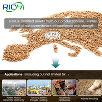 Máquina Pequeña para Hacer Pellets de Biomasa RICHI - Certificación CE, Máquina Peletizadora de Cáscara de Arroz y Café