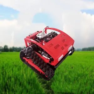 Mini macchina per il taglio dell'erba robotizzata per tosaerba a benzina tosaerba a benzina