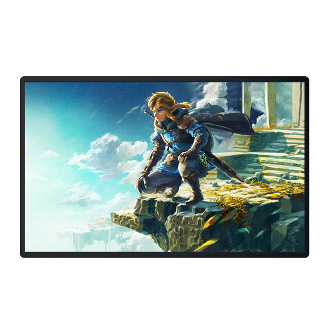 OEM/ODM 18.5 Inch OLED Portable Monitor 100Hz FHD IPS Display 100% SRGB HDR Mode Built-in Speaker Type-C Interface Bulk
