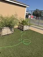 Tuyau d'arrosage de jardin extensible avec buse à 8 modes de pulvérisation et raccords en laiton, tuyau extensible léger et flexible pour l'arrosage de la cour
