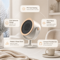 Mini radiateur de bureau 220V, radiateur électrique inclinable avec tête sphérique, chauffage personnel pour bureau et étude