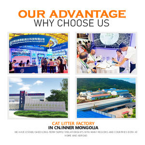 Çevre Dostu Aktif Karbon Toplu Kum Kedi Tuvaleti Hızlı Topaklanan 4kg - Product Image 6