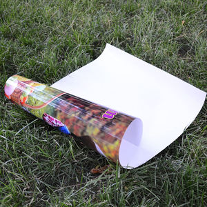 Impression numérique OEM Affiches personnalisées Taille personnalisée Impression sur papier photo Affiches personnalisées Emballage personnalisé Impression publicitaire Affiches pour la promotion - Product Image 2