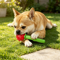 Jouet à mâcher pour chien YMH en TPR, rose simulé, plusieurs couleurs disponibles, avec tige à picots surélevés pour l'hygiène dentaire quotidienne et le jeu