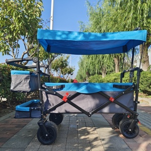 <span class=keywords><strong>Chariot</strong></span> <span class=keywords><strong>de</strong></span> <span class=keywords><strong>plage</strong></span> pliable en acier inoxydable <span class=keywords><strong>avec</strong></span> panier <span class=keywords><strong>de</strong></span> rangement, <span class=keywords><strong>chariot</strong></span> utilitaire <span class=keywords><strong>de</strong></span> <span class=keywords><strong>toit</strong></span> réglable, capacité 100 kg, <span class=keywords><strong>chariot</strong></span> à main pour le camping - Product Image 1